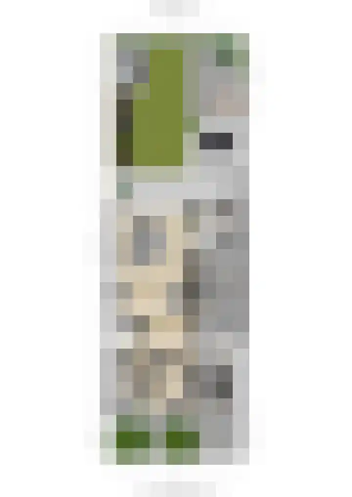 Slijkhoef 33 Biezenmortel thumbnail 76