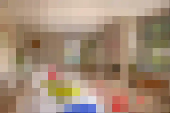 Slijkhout 2 Lemmer thumbnail 11