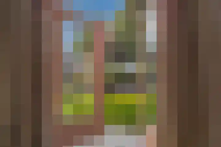 Slijkhout 2 Lemmer thumbnail 19