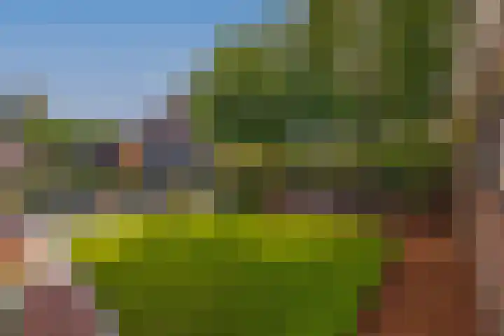 Slijkhout 2 Lemmer thumbnail 20