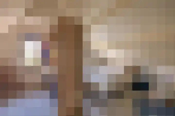 Slijkhout 2 Lemmer thumbnail 25