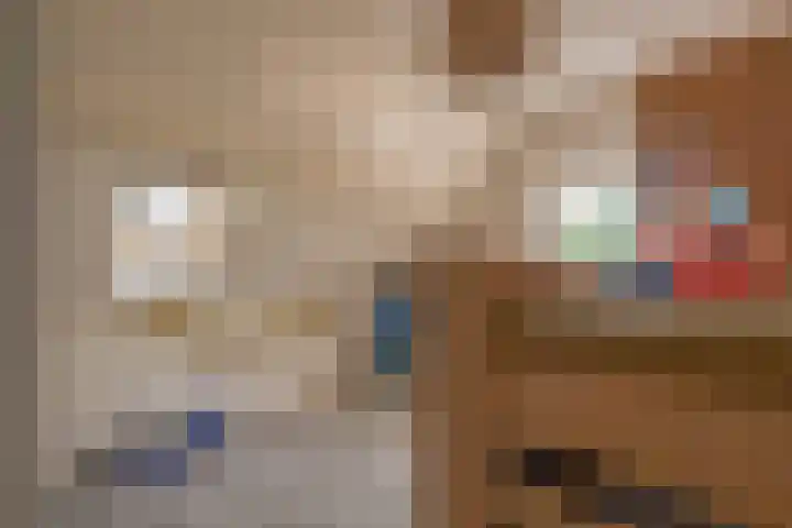 Slijkhout 2 Lemmer thumbnail 32