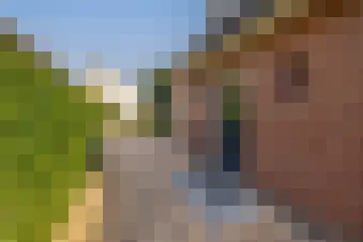 Slijkhout 2 Lemmer thumbnail 36