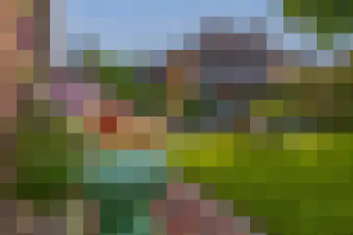 Slijkhout 2 Lemmer thumbnail 37