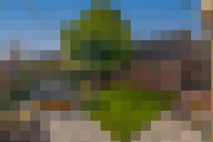 Slijkhout 2 Lemmer thumbnail 38