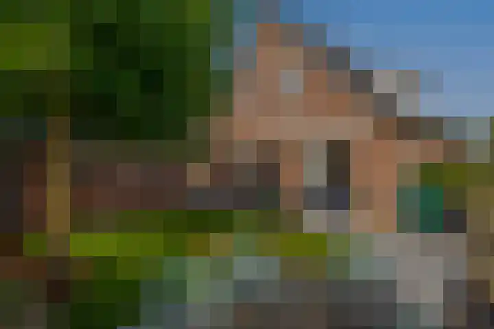 Slijkhout 2 Lemmer thumbnail 39