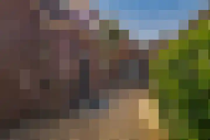 Slijkhout 2 Lemmer thumbnail 4