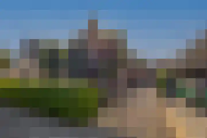 Slijkhout 2 Lemmer thumbnail 40