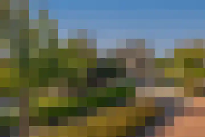 Slijkhout 2 Lemmer thumbnail 41