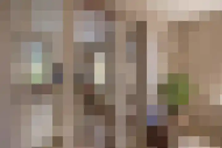 Slijkhout 2 Lemmer thumbnail 9