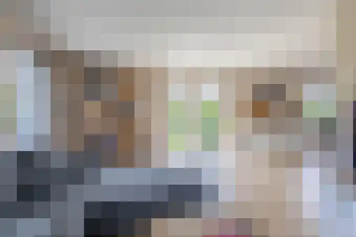 Slijkhout 5 Lemmer thumbnail 12
