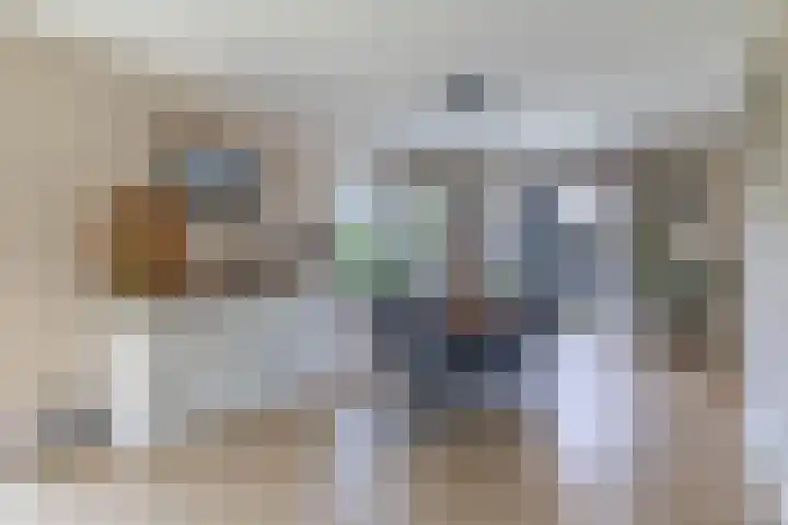 Slijkhout 5 Lemmer thumbnail 13