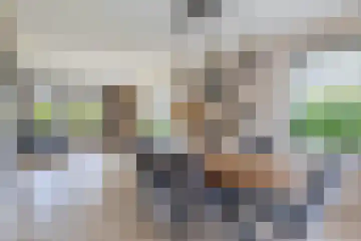 Slijkhout 5 Lemmer thumbnail 15