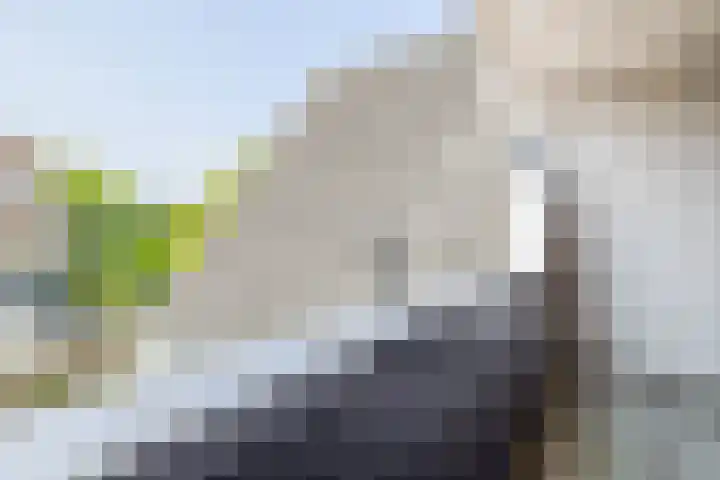 Slijkhout 5 Lemmer thumbnail 27