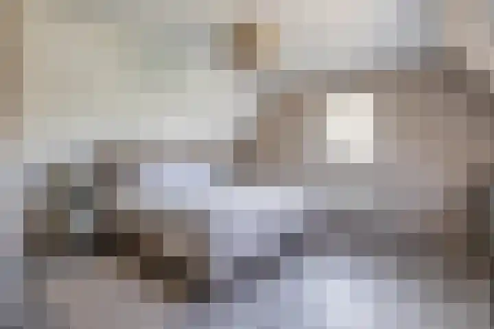 Slijkhout 5 Lemmer thumbnail 28
