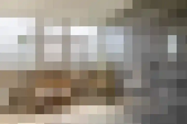 Slijkhout 5 Lemmer thumbnail 31