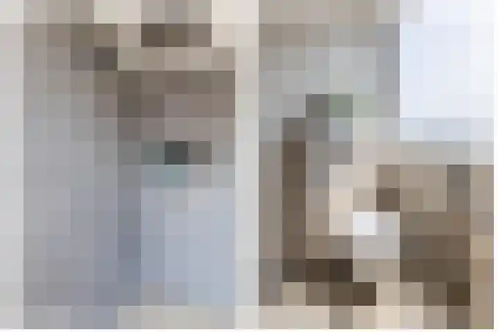 Slijkhout 5 Lemmer thumbnail 32