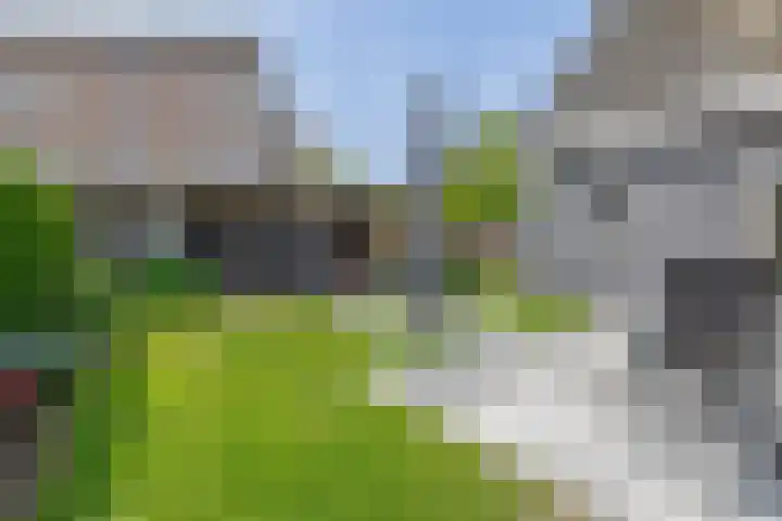 Slijkhout 5 Lemmer thumbnail 40