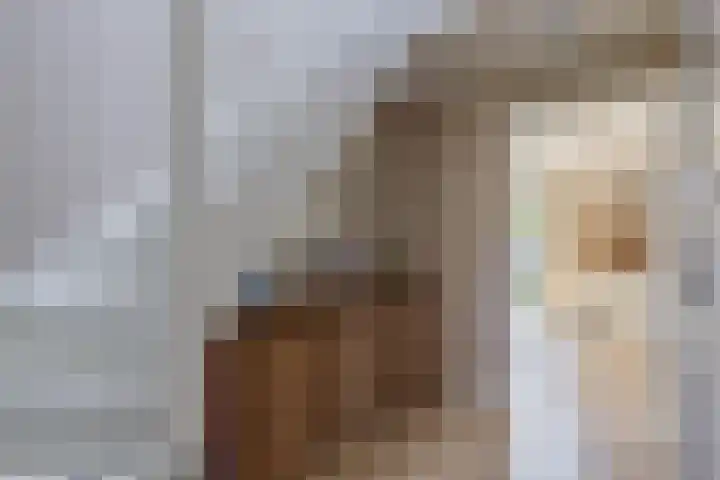 Slijkhout 5 Lemmer thumbnail 7