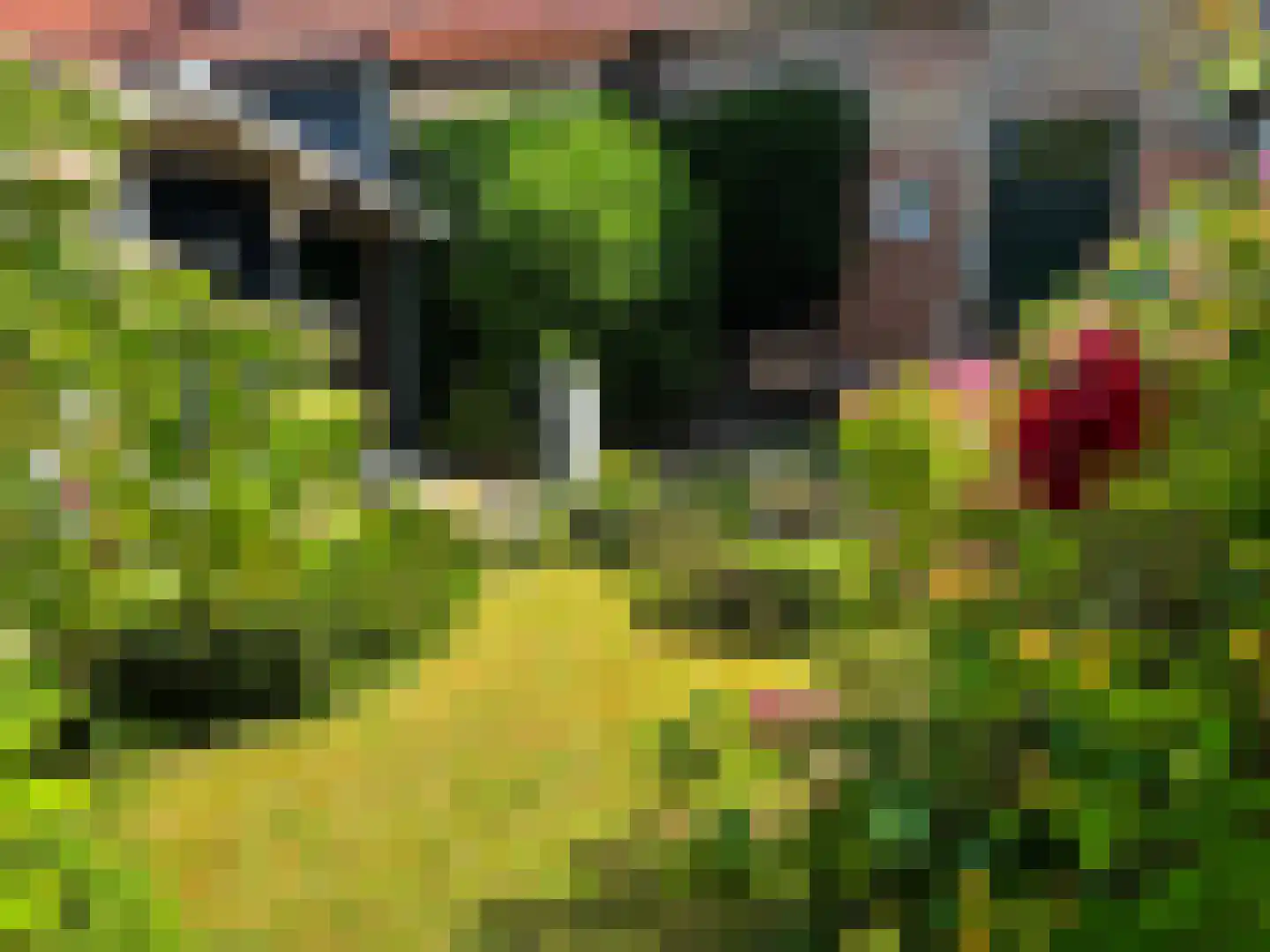Slijkstraat 3 Groede thumbnail 30