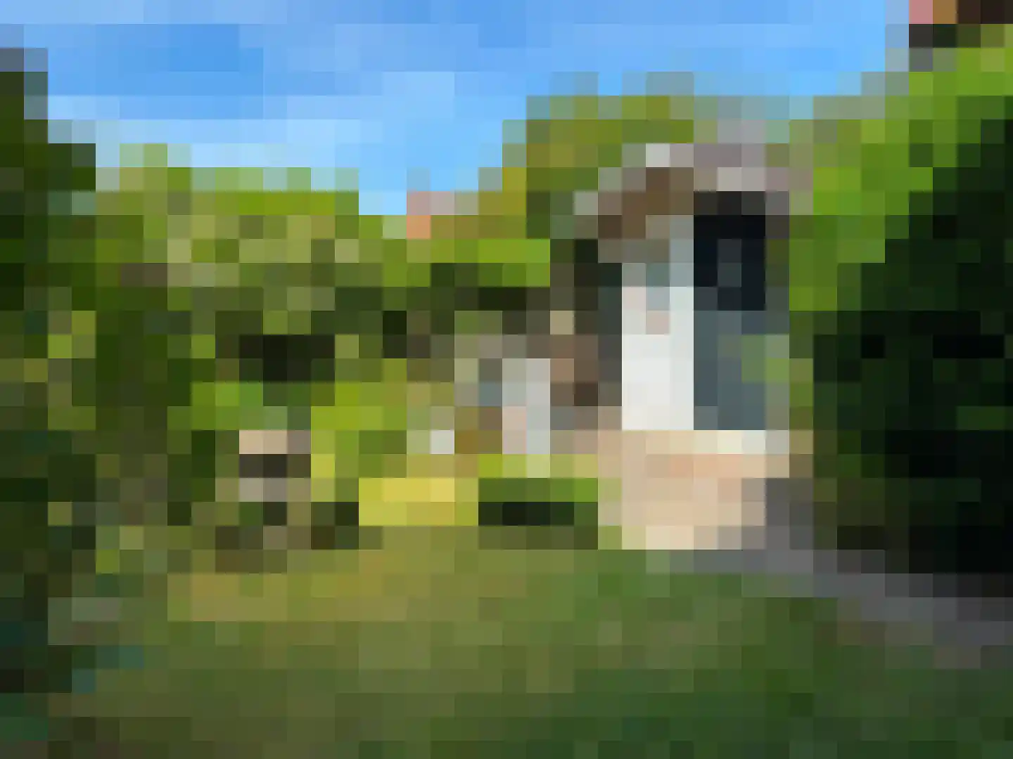 Slijkstraat 3 Groede thumbnail 34