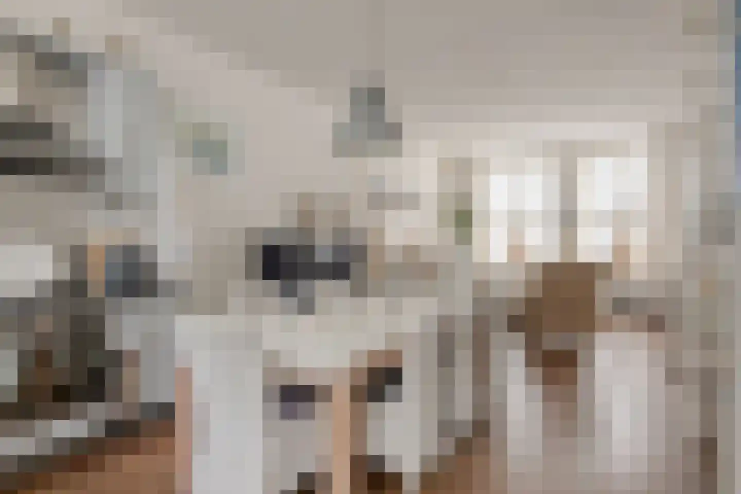 Slijkstraat 32 Vlissingen thumbnail 11