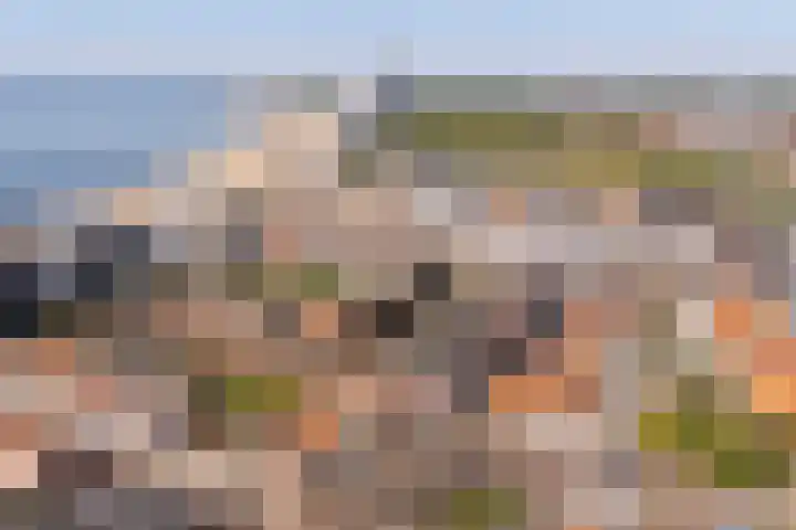 Slijkstraat 49 Vlissingen thumbnail 39