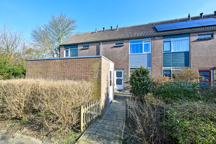 Slijpakker 32 en Koog aan de Zaan foto