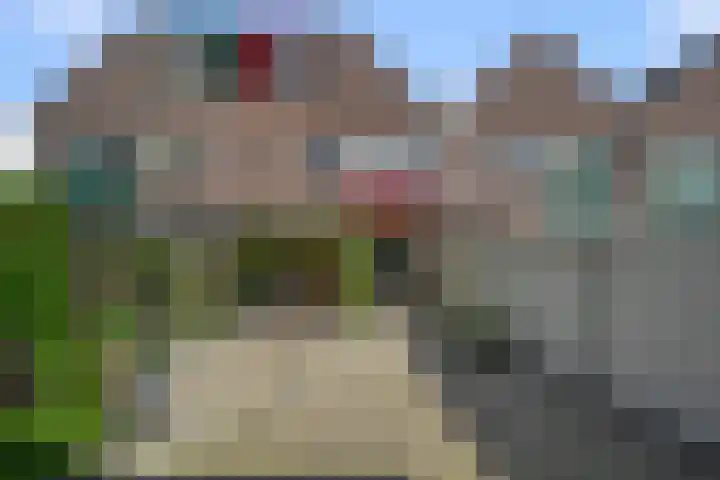 Slijpakker 4 Koog aan de Zaan thumbnail 11