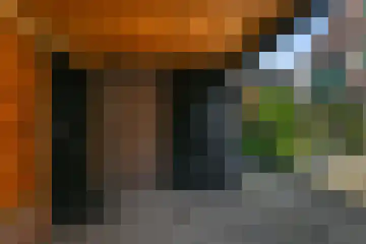 Slijpakker 4 Koog aan de Zaan thumbnail 13