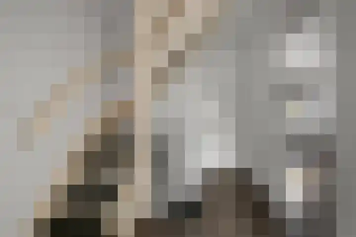 Slijpakker 4 Koog aan de Zaan thumbnail 14
