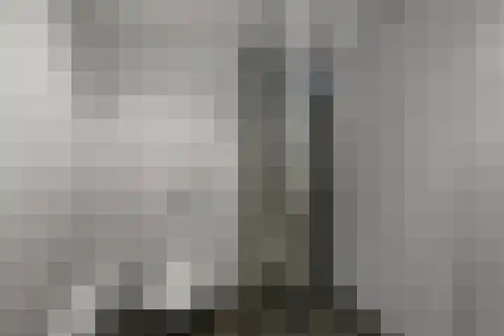 Slijpakker 4 Koog aan de Zaan thumbnail 16