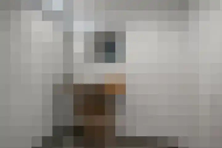 Slijpakker 4 Koog aan de Zaan thumbnail 17