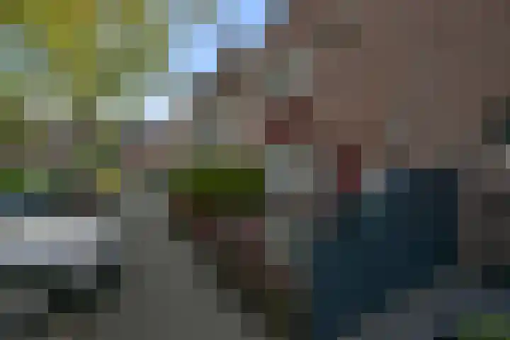 Slijpakker 4 Koog aan de Zaan foto 2