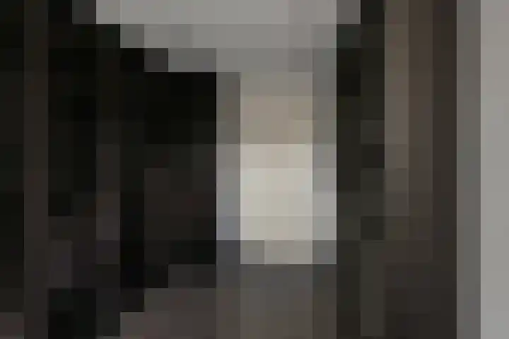 Slijpakker 4 Koog aan de Zaan thumbnail 20