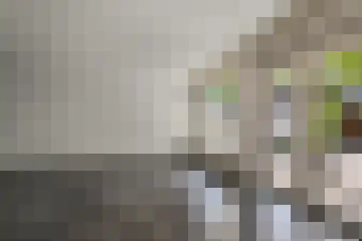 Slijpakker 4 Koog aan de Zaan thumbnail 8