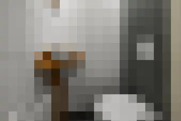Slijpakker 4 Koog aan de Zaan thumbnail 9