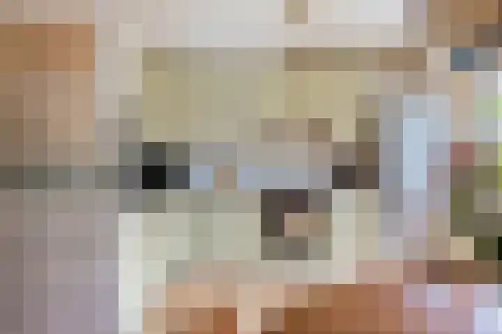Slijperij 19 Alkmaar thumbnail 12