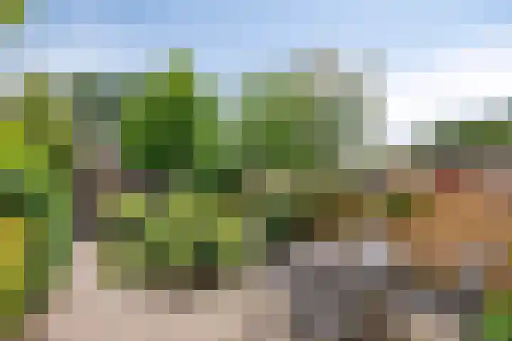 Slijperij 19 Alkmaar thumbnail 16