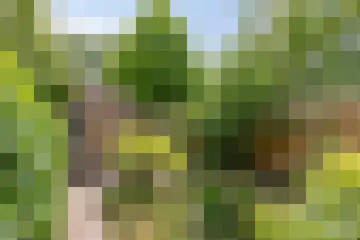 Slijperij 19 Alkmaar thumbnail 17