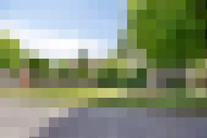 Slijperij 19 Alkmaar thumbnail 18
