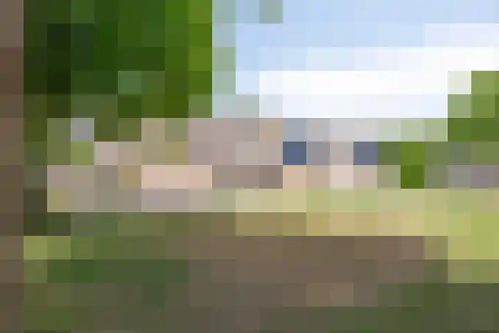 Slijperij 19 Alkmaar thumbnail 19