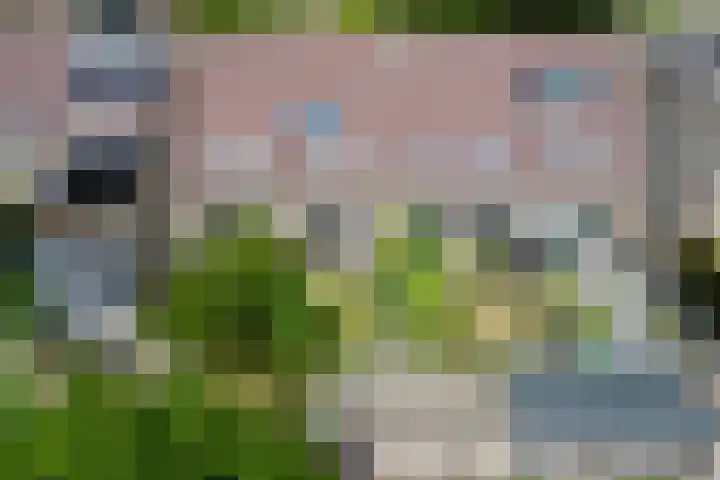 Slijperij 19 Alkmaar thumbnail 20