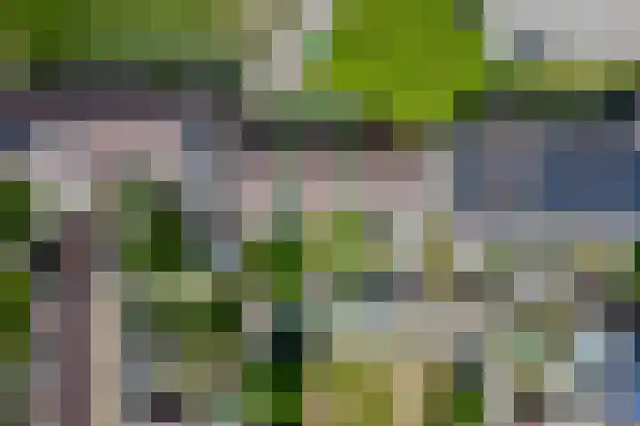 Slijperij 19 Alkmaar thumbnail 21