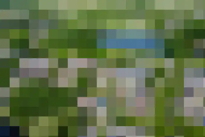 Slijperij 19 Alkmaar thumbnail 22