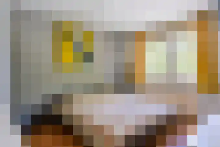 Slijperij 19 Alkmaar thumbnail 24