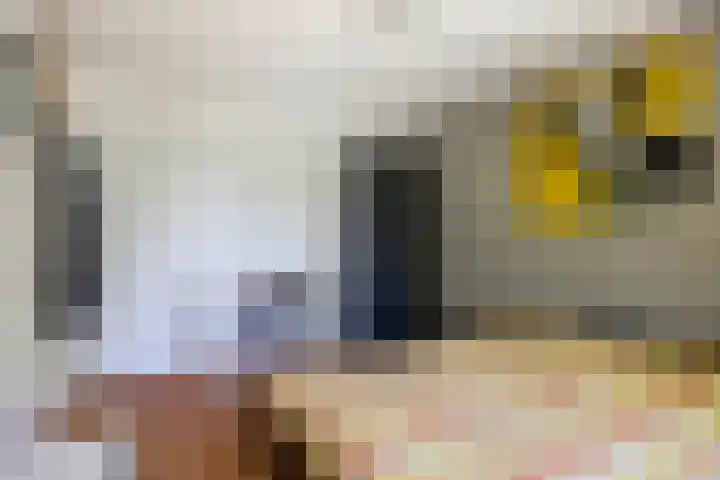 Slijperij 19 Alkmaar thumbnail 25