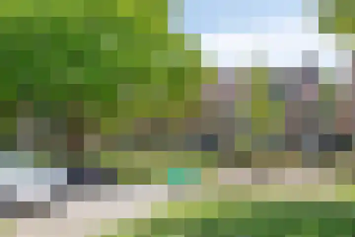 Slijperij 19 Alkmaar thumbnail 35