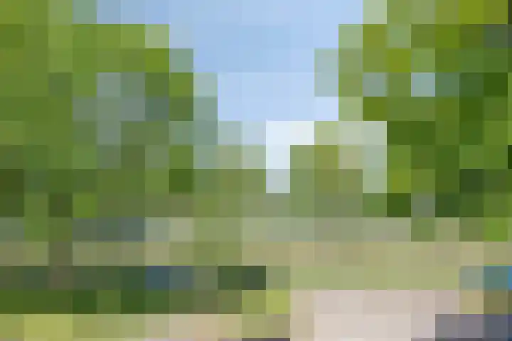 Slijperij 19 Alkmaar thumbnail 36