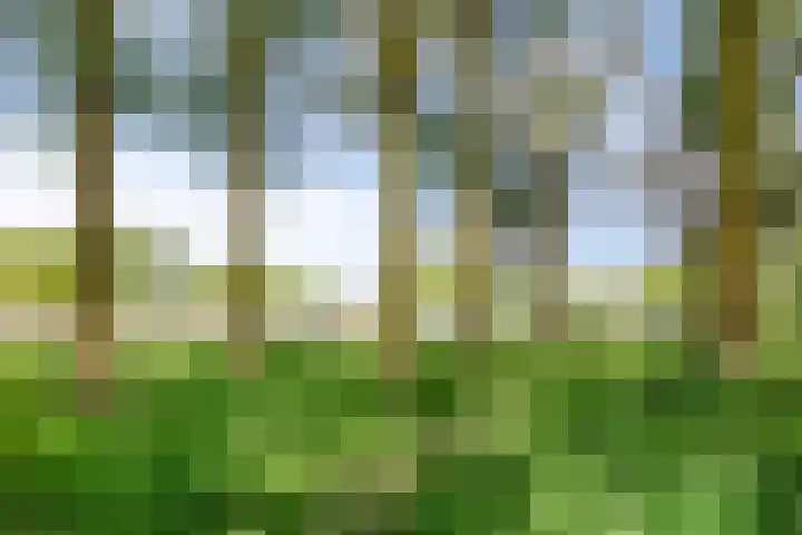 Slijperij 19 Alkmaar thumbnail 37